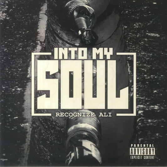 Into My Soul - Limited Edition Vinyl LP vinyl record cover