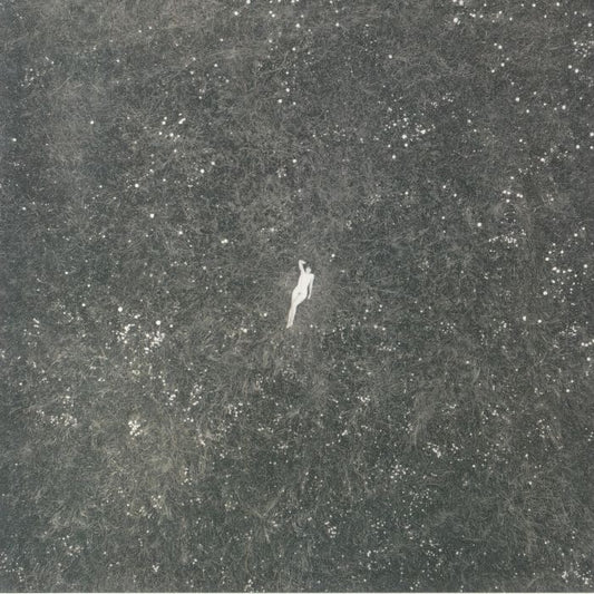 The Last Garden - Clear Vinyl LP vinyl record cover