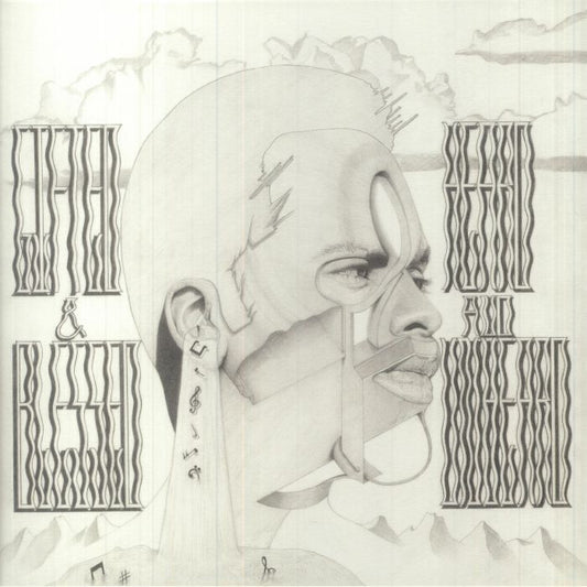 Heard & Unheard - Limited Edition Vinyl LP vinyl record cover