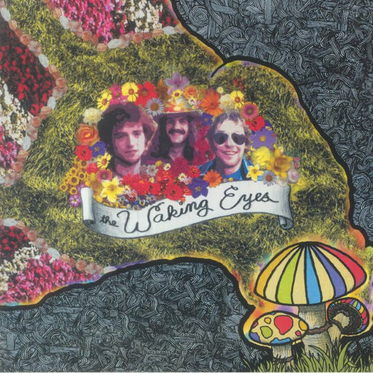 Combing The Cloud - Vinyl LP vinyl record cover