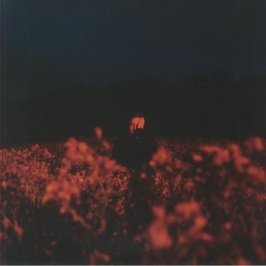 Some Things Break - Dark Blue Marbled Vinyl LP vinyl record cover