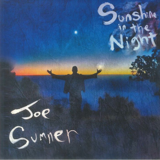 Sunshine In The Night - Vinyl LP vinyl record cover