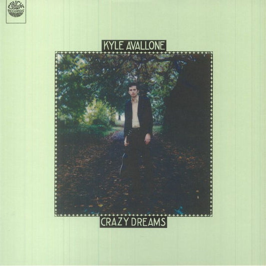 Crazy Dreams - Vinyl LP vinyl record cover
