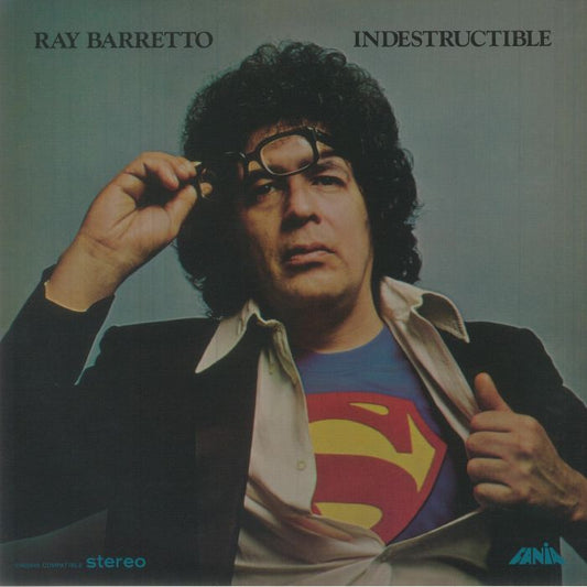Indestructible - Vinyl LP vinyl record cover