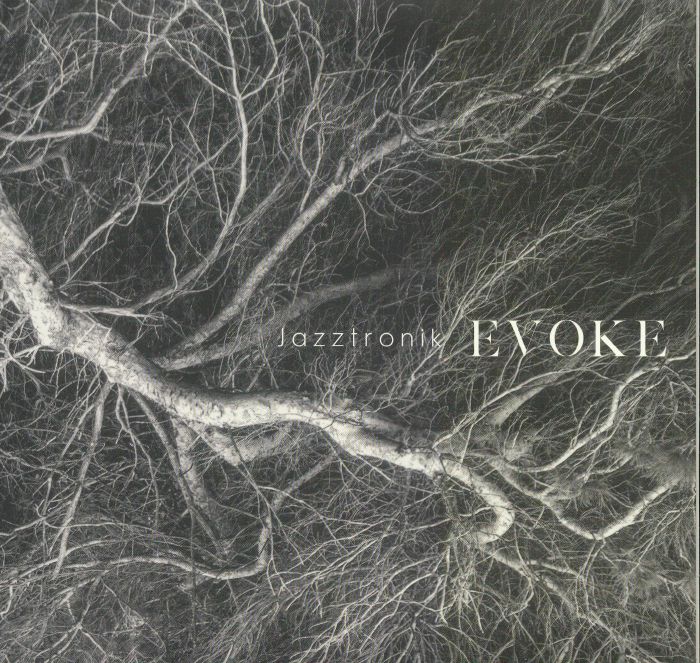 Evoke - Vinyl Single vinyl record cover