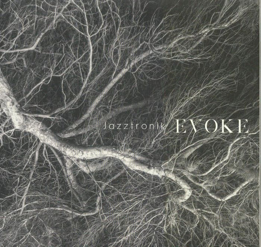 Evoke - Vinyl Single vinyl record cover