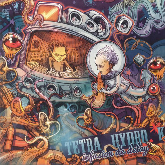 Infusion De Delay/Indigestion De Tofu - Vinyl LP vinyl record cover