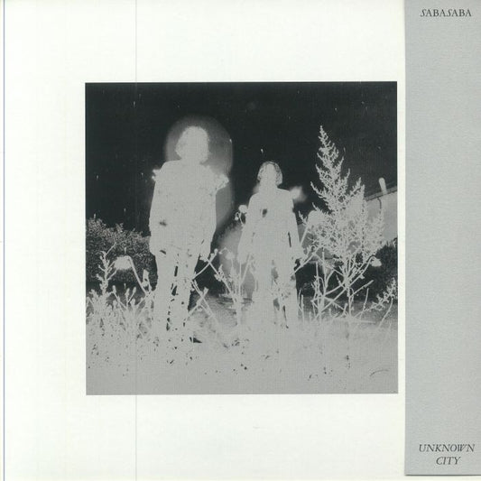 Unknown City - Vinyl LP vinyl record cover