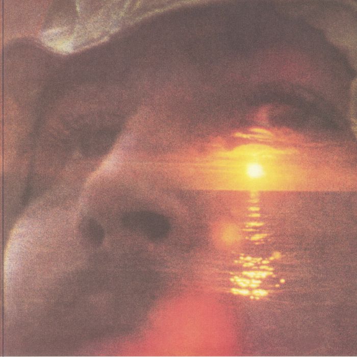 If I Could Only Remember My Name - 2xLP vinyl record cover