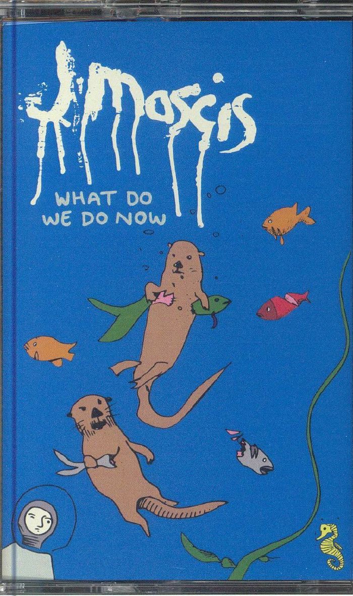 What Do We Do Now - Cassette audio cassette cover