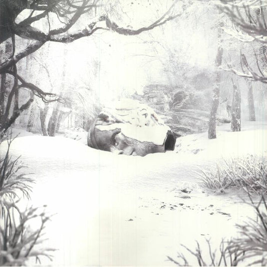 SZNZ: Winter - Limited Milky Clear Vinyl LP vinyl record cover