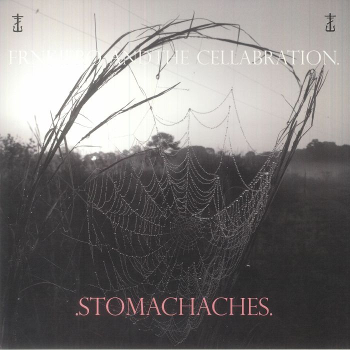 Stomachaches - Vinyl LP vinyl record cover