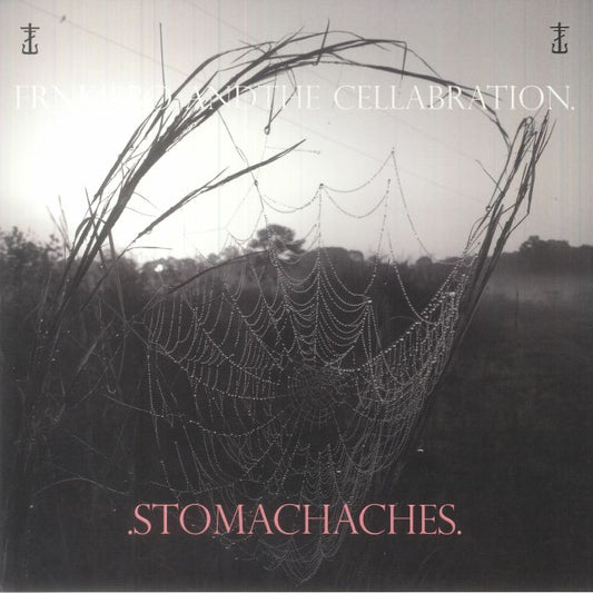 Stomachaches - Vinyl LP vinyl record cover