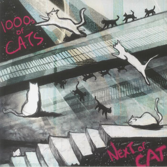 Next Of Cat - Vinyl LP vinyl record cover