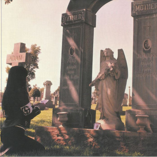 Todo Termina - Vinyl LP vinyl record cover