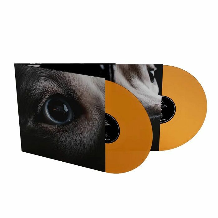 The Dark Side Of The Moon Redux - Orange Vinyl 2xLP vinyl record cover