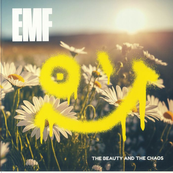 The Beauty & The Chaos - Vinyl LP vinyl record cover