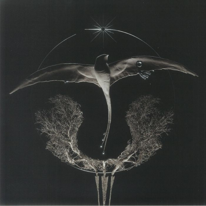 Arise - Vinyl Single vinyl record cover