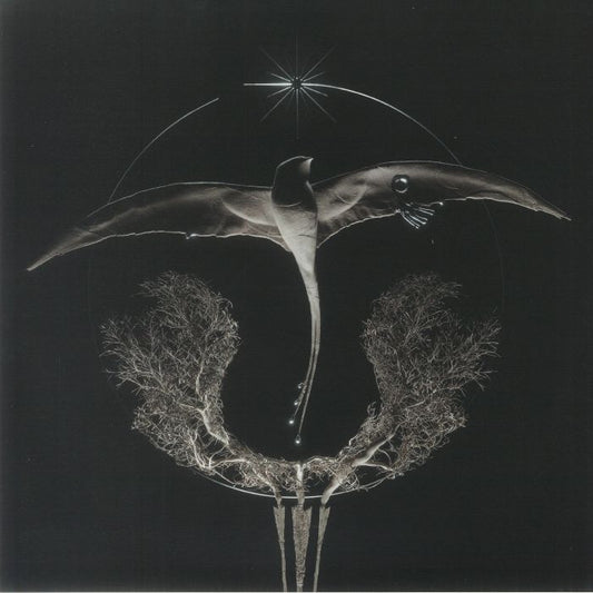 Arise - Vinyl Single vinyl record cover