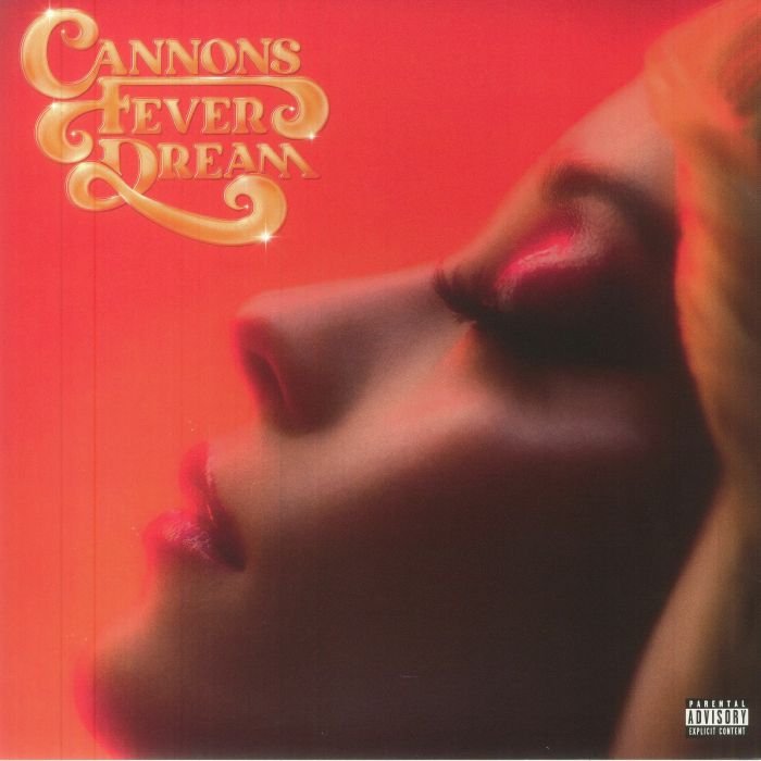 Fever Dream - Vinyl LP vinyl record cover