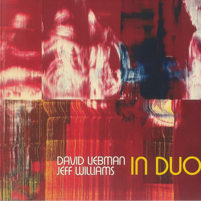 In Duo - Vinyl LP vinyl record cover