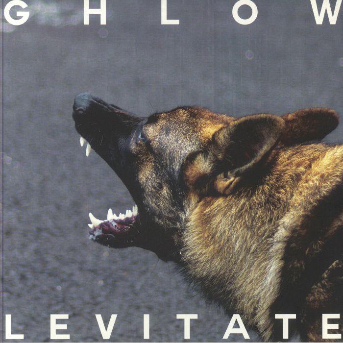 Levitate - Limited Edition Vinyl LP vinyl record cover