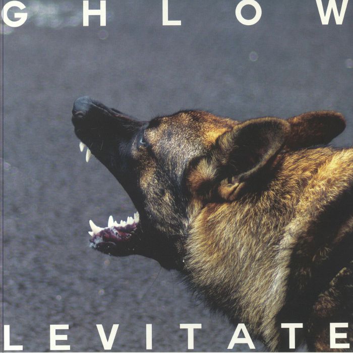 Levitate - White Vinyl LP vinyl record cover