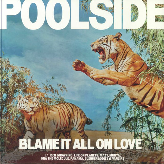 Blame It All On Love - Orange Vinyl LP vinyl record cover