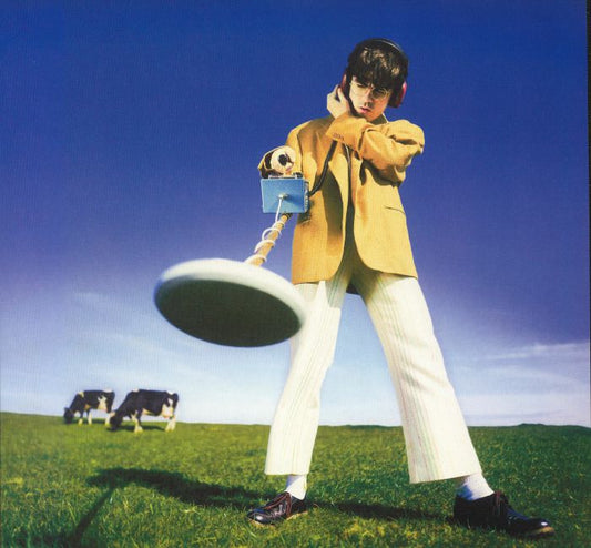 What Happened To The Beach? - Indie Exclusive Yellow Vinyl LP vinyl record cover