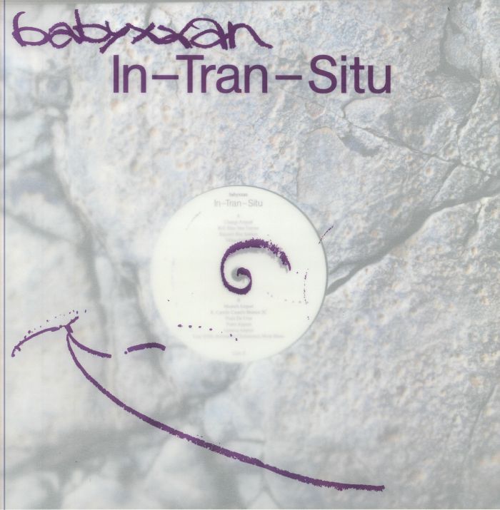 In Tran Situ - Vinyl LP vinyl record cover