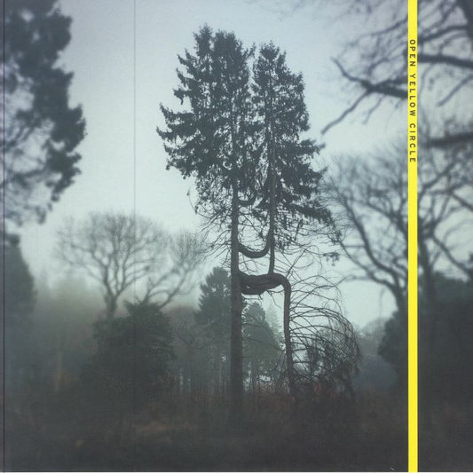 New Meridian - Vinyl LP vinyl record cover