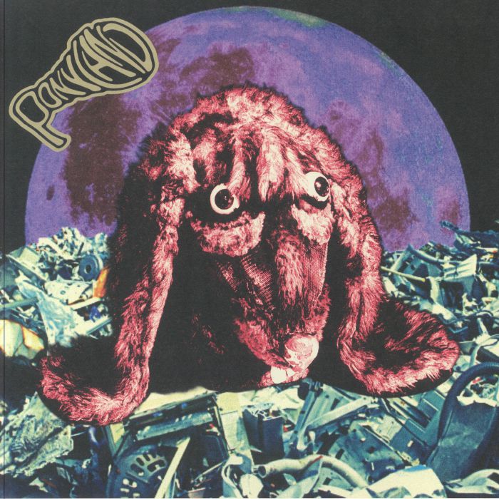 Hare Brains - Purple Vinyl LP vinyl record cover