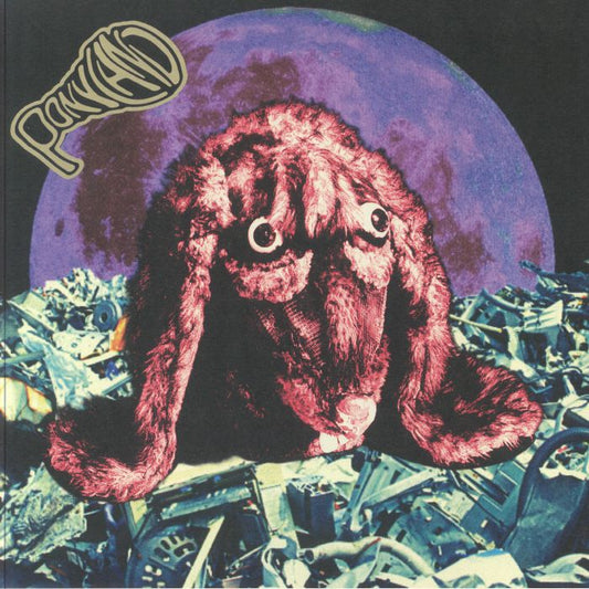 Hare Brains - Purple Vinyl LP vinyl record cover