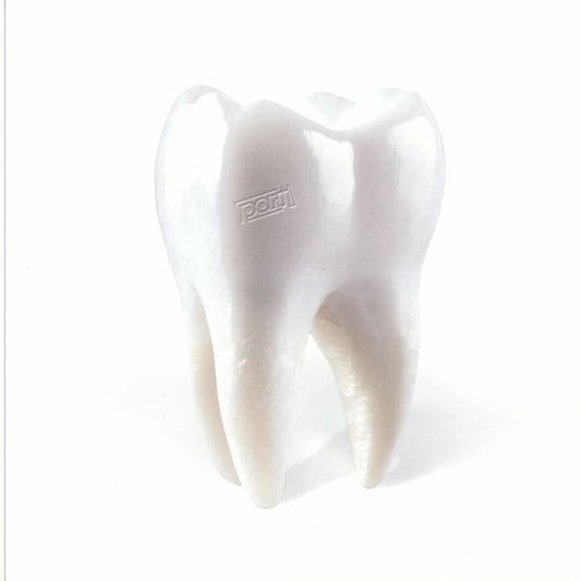 Teething - Vinyl LP vinyl record cover