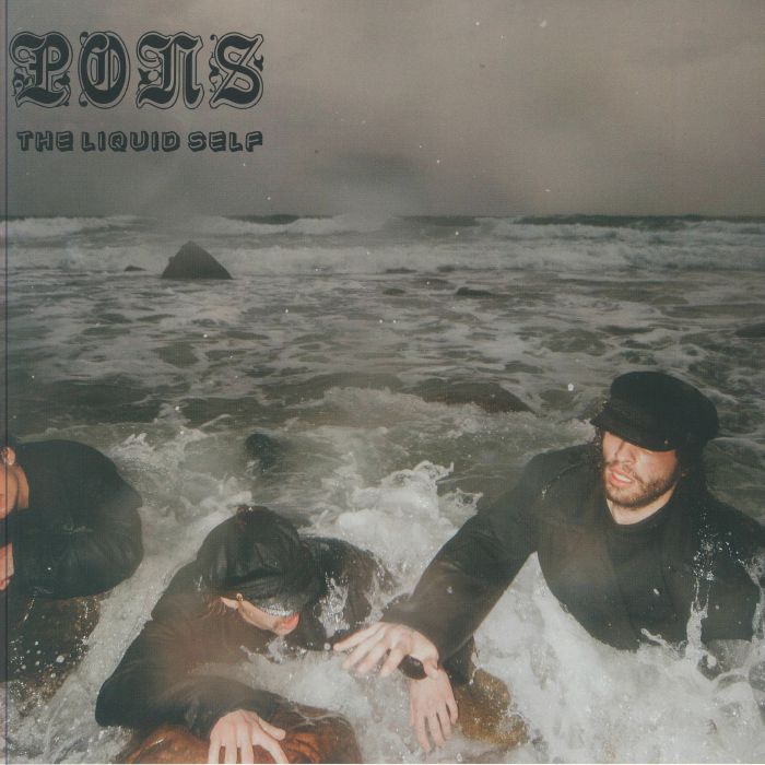 The Liquid Self - Cloudy Clear Vinyl LP vinyl record cover