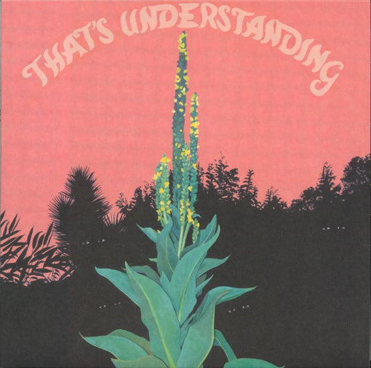 That's Understanding - Vinyl LP vinyl record cover