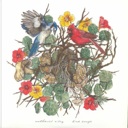 Bird Songs - Vinyl LP vinyl record cover