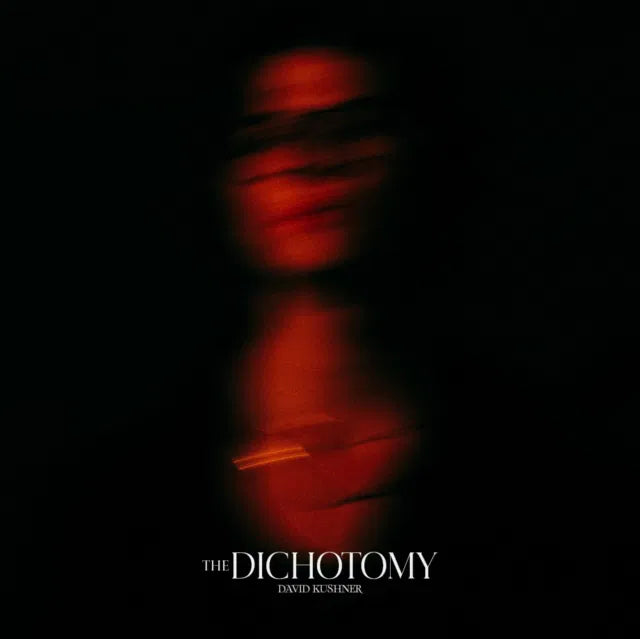 The Dichotomy - 2x Vinyl LP