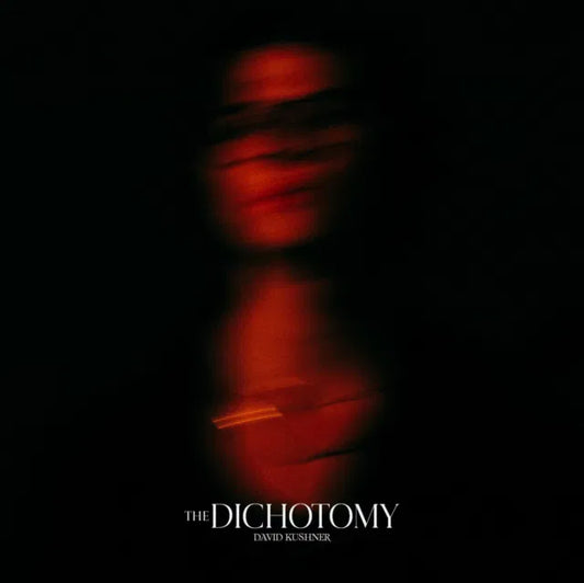 The Dichotomy - 2x Vinyl LP