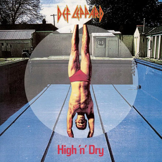 High 'N' Dry RSD2022 - Picture Disc 1x Vinyl LP