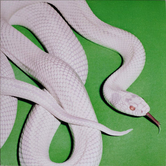 Private Music - 1x Vinyl LP