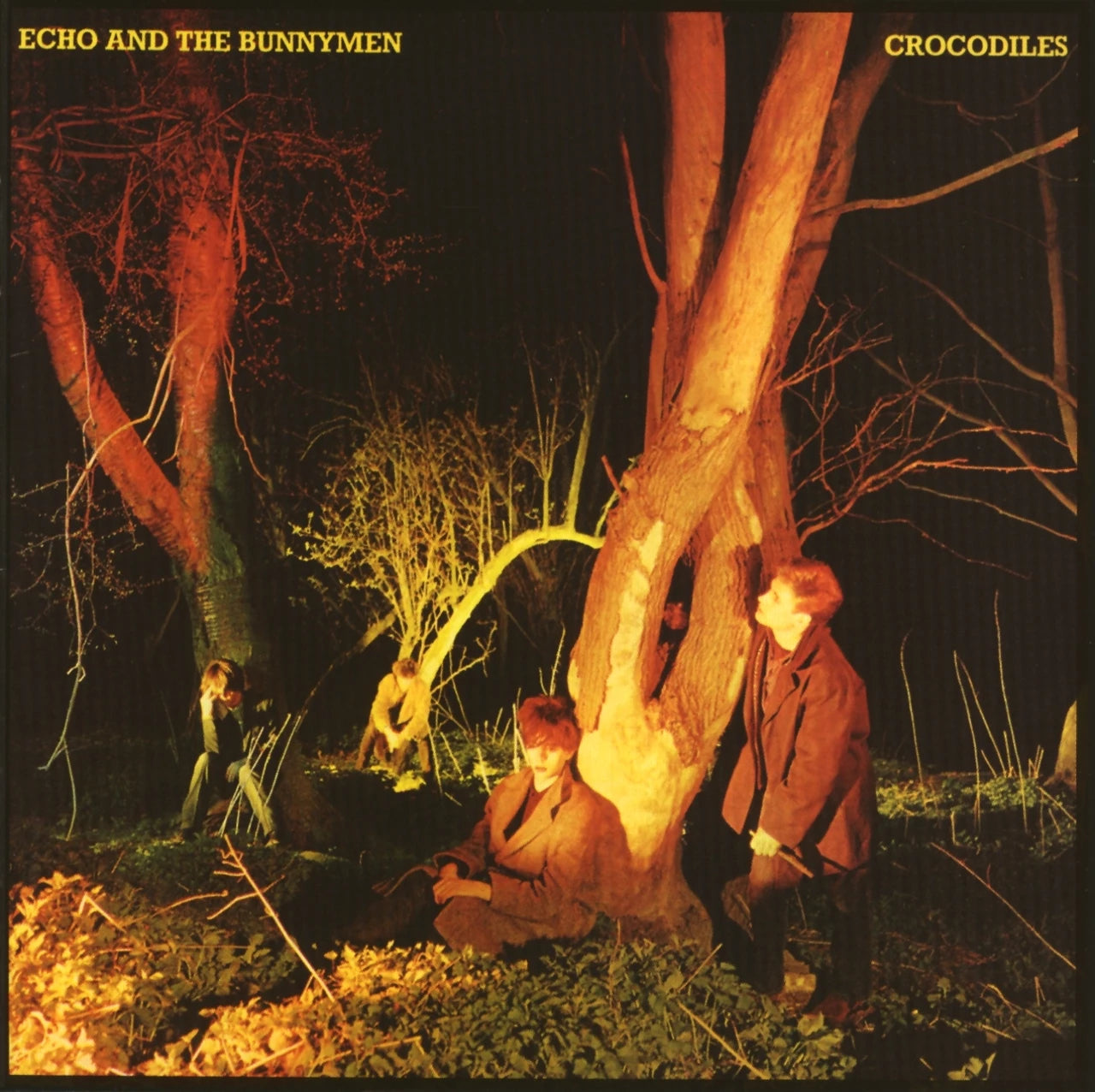 Crocodiles - Vinyl LP