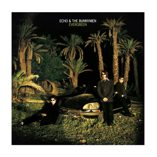 Evergreen - 25th Anniversary Edition White Vinyl LP