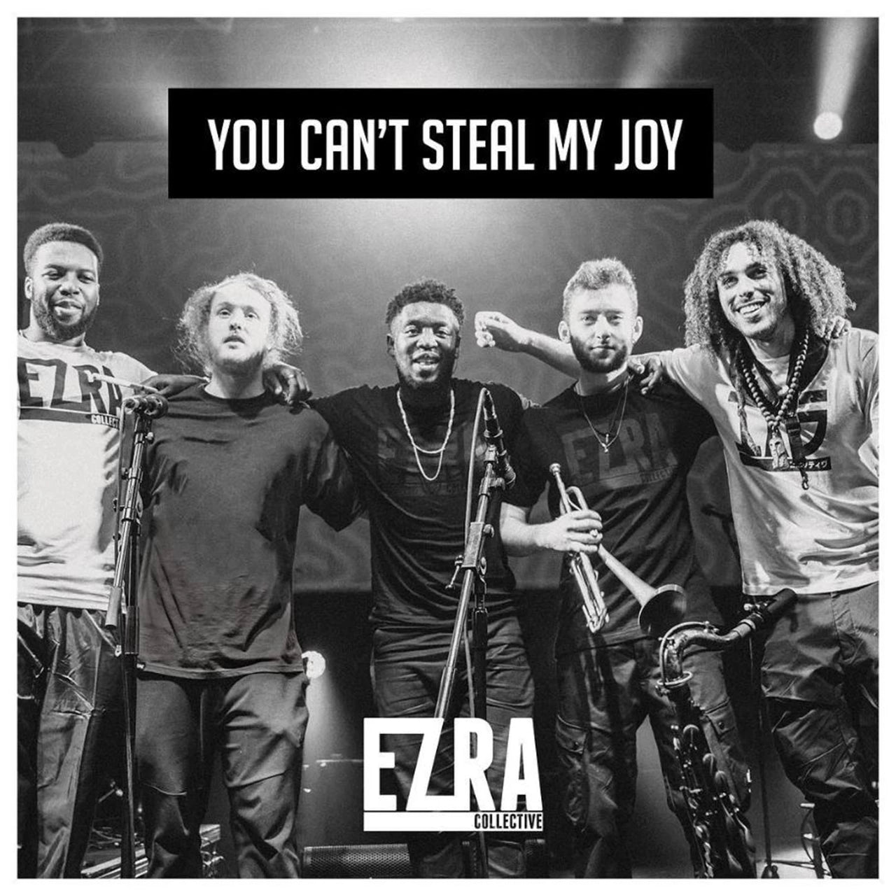 You Can't Steal My Joy - 2x Vinyl LP