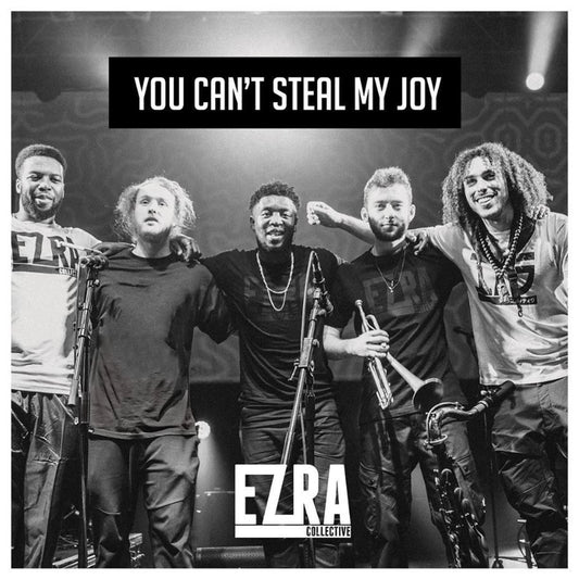 You Can't Steal My Joy - 2x Vinyl LP