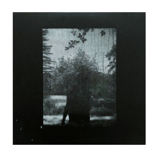 Ruins - Vinyl LP