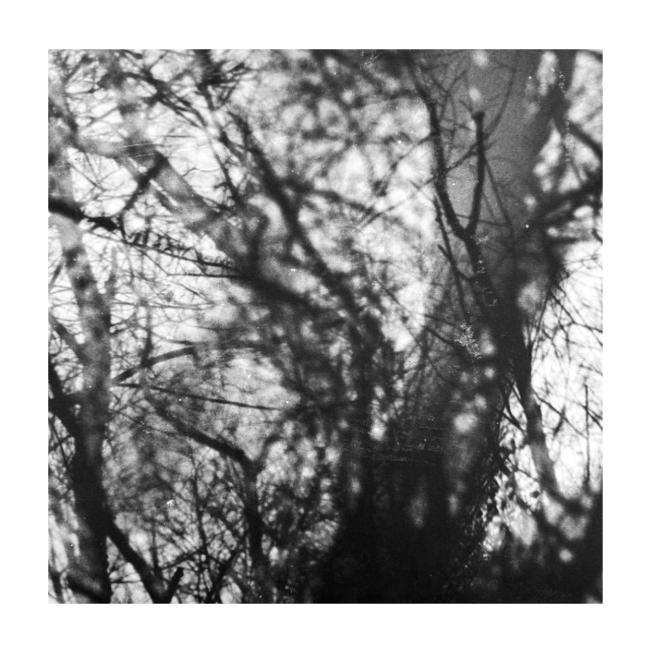 Way Their Crept - Vinyl LP