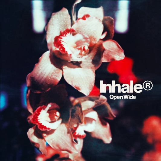 Open Wide - Limited Edition Pink Vinyl LP