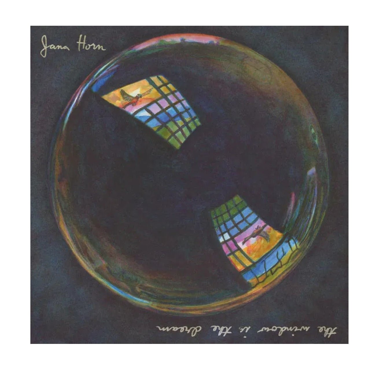 The Window Is The Dream - Vinyl LP