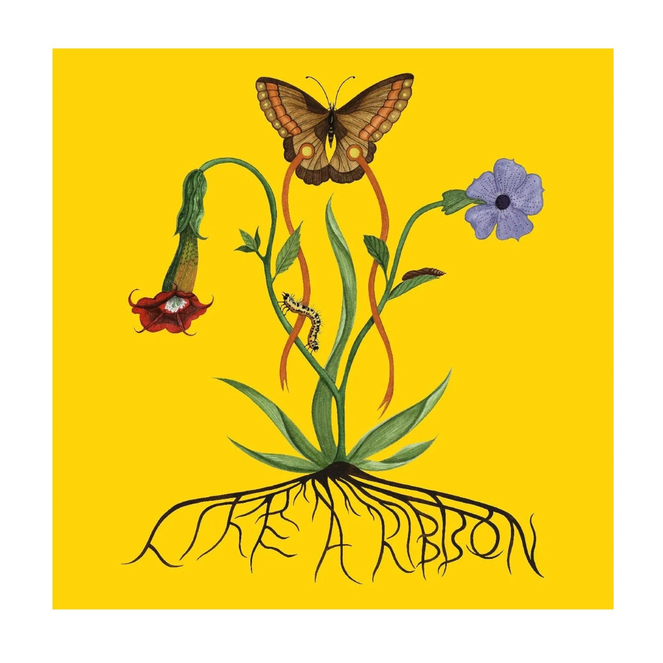 Like A Ribbon - Vinyl LP